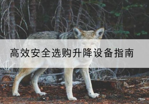 黄冈升降货梯厂家推荐-*安全选购升降设备指南