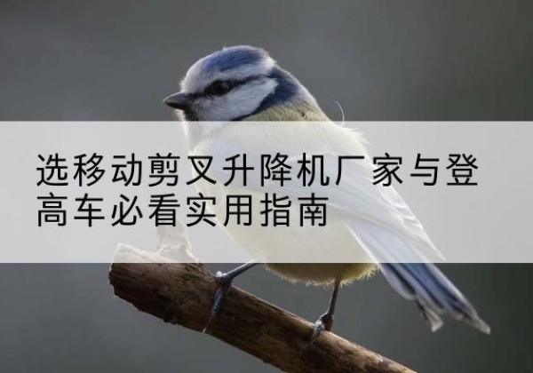黄冈电动升降机厂家-选移动剪叉升降机厂家与登高车必看实用指南